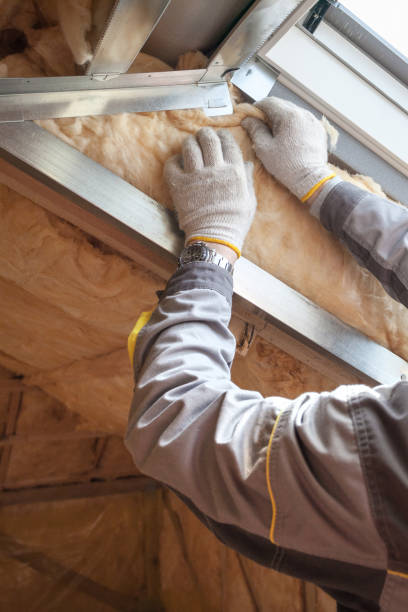 Best Fireproof Insulation  in Texas City, TX